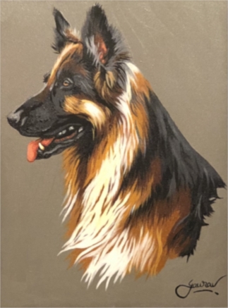 German shepherd 