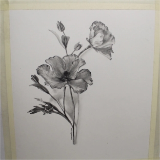 Flowers in graphite